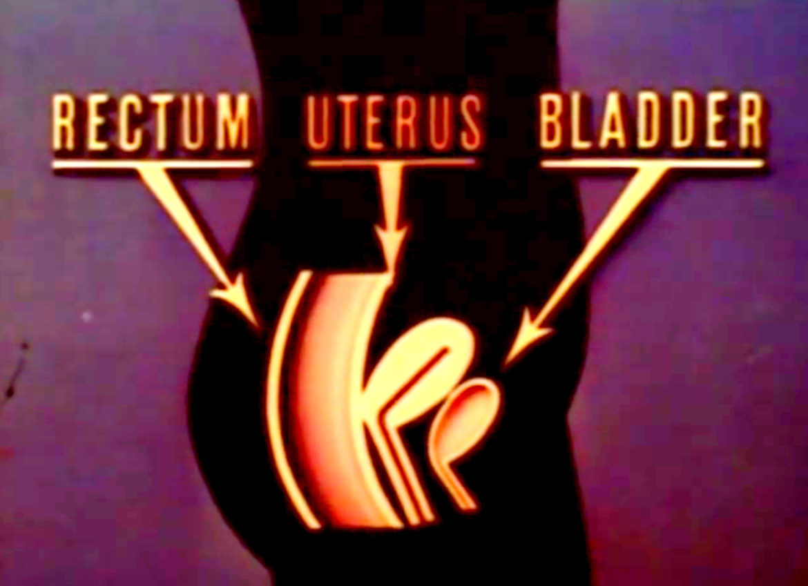 The Story of Menstruation (Uncredited, 1946)