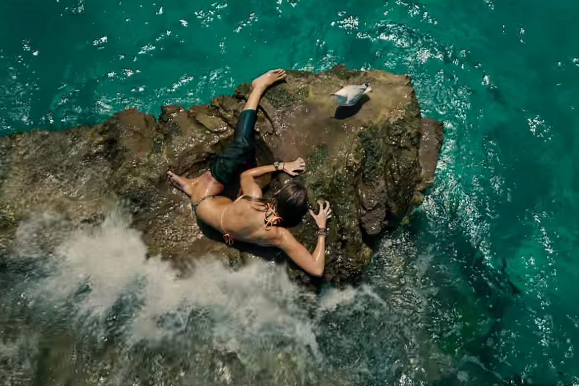 The Shallows succeeds wildly at being exactly what it is