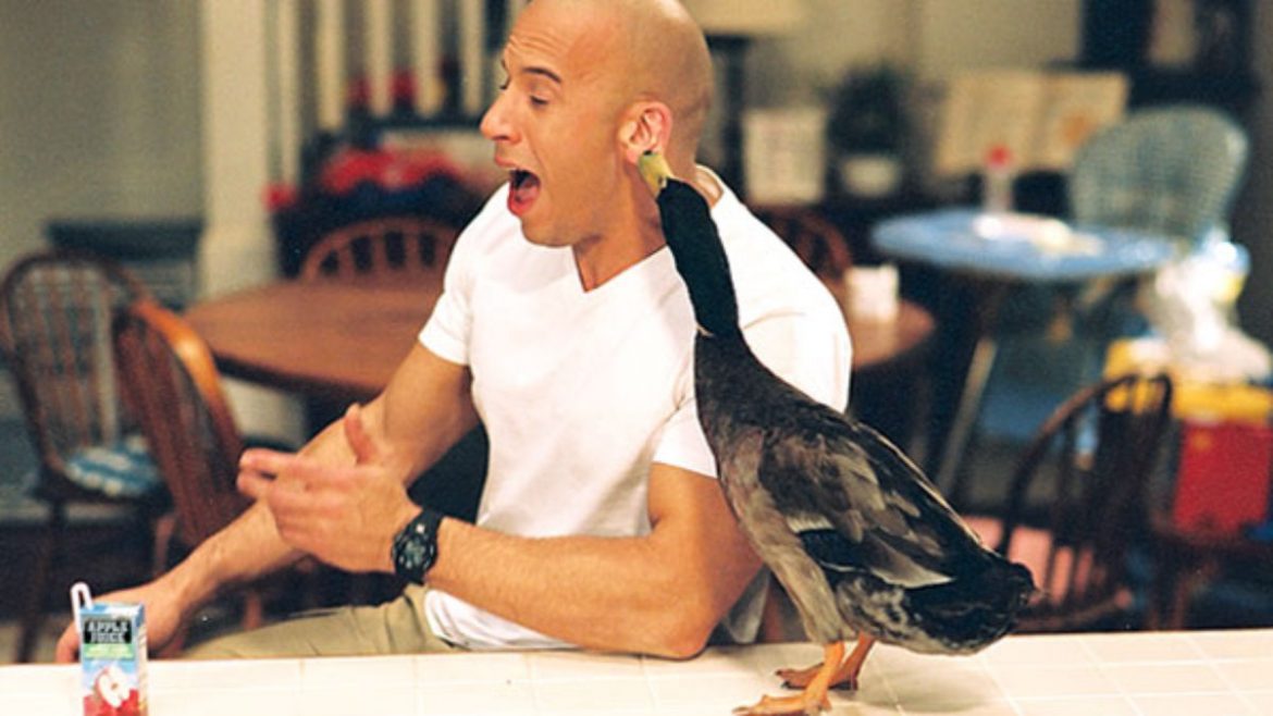 The Pacifier had a lot on its mind, and poop on its face